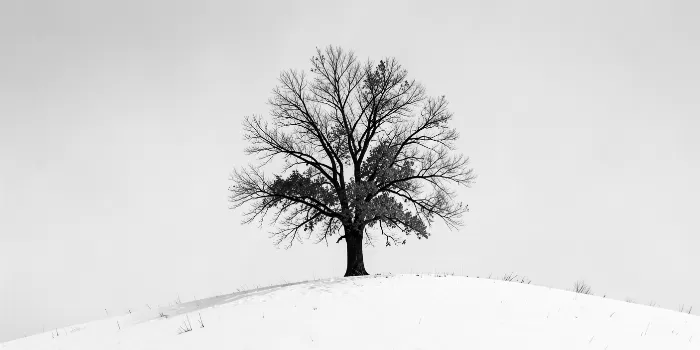 Winter Silence