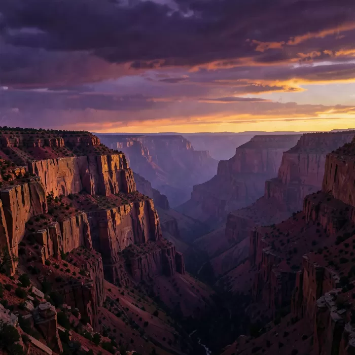 Violet Gorge