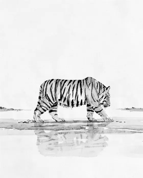 Tiger Ford