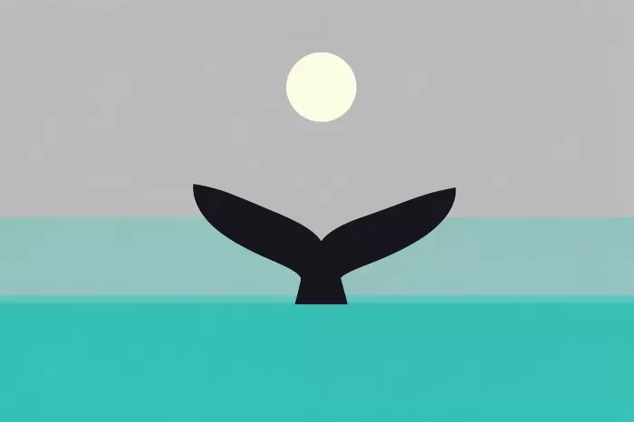 Whale Tail
