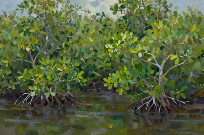 Mangrove Canopy