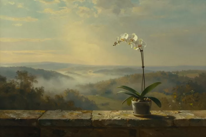 Orchid Ledge