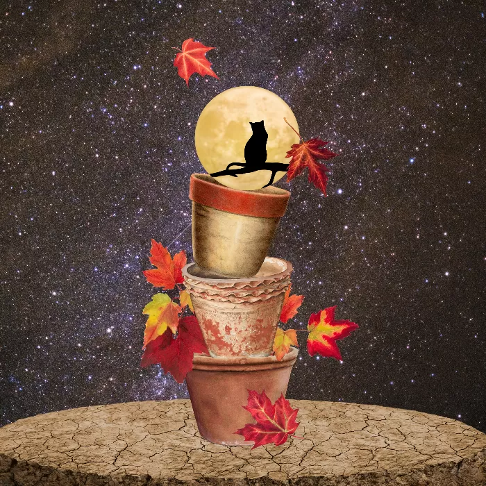 Autumn Halloween