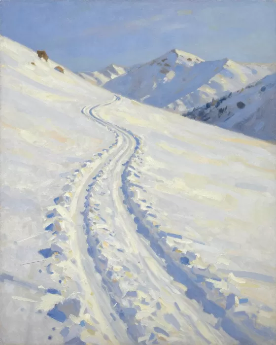 Silent Slopes