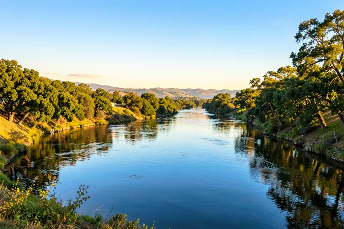 Napa Stillness
