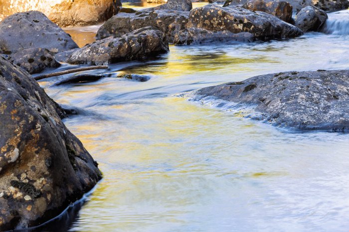 Water Flows - Newfoundland art print