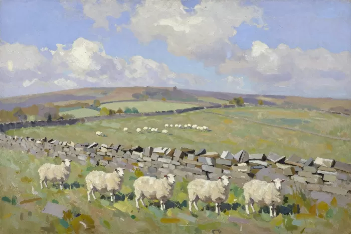 Dales Sheep