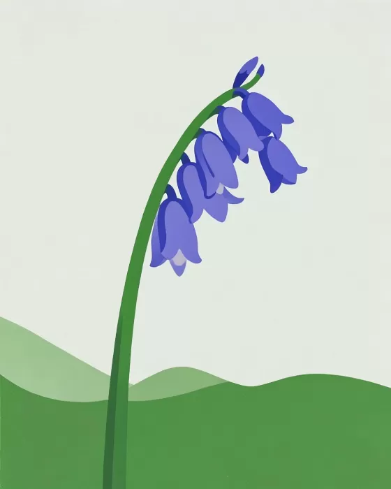 Bluebell Rise