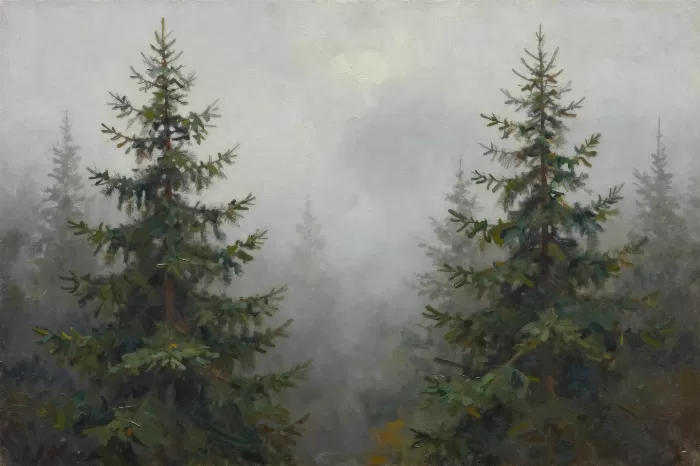 Evergreen Fog