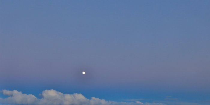 Dreamland Moon - Newfoundland art print