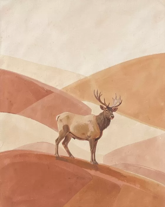 Elk Hillside