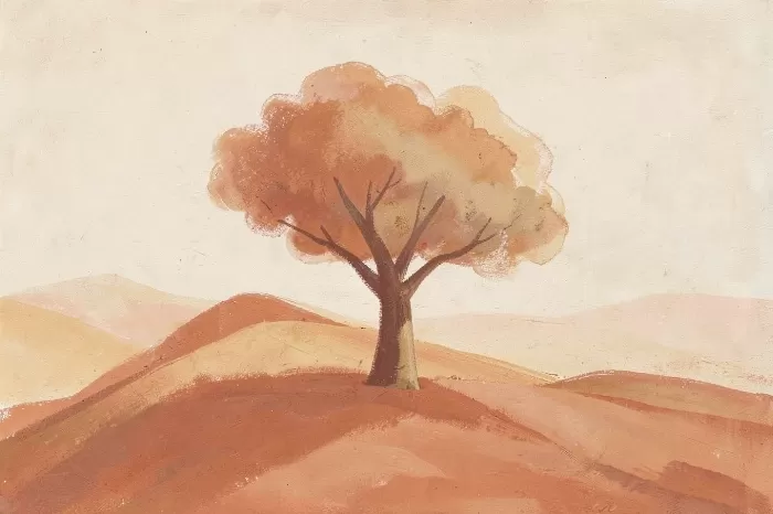 Lone Terrain