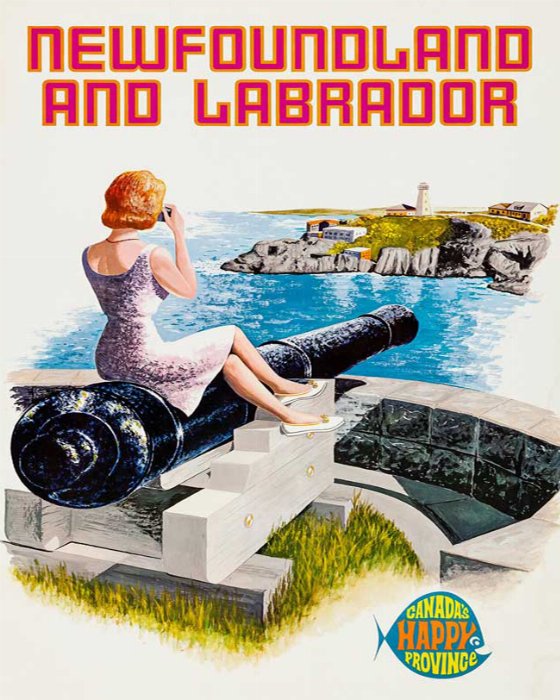 Sexy Newfoundland - Newfoundland art print
