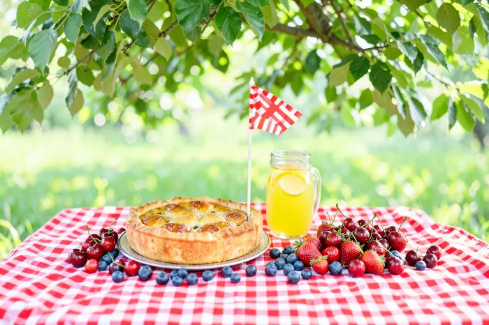 Picnic Plenty