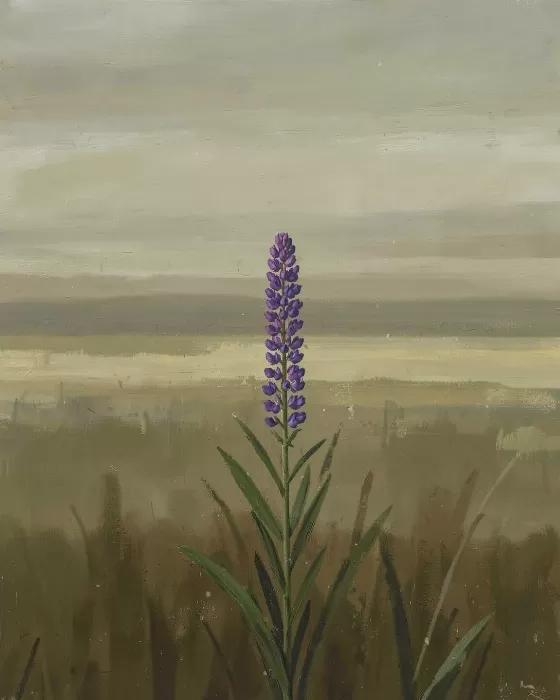 Solo Bloom