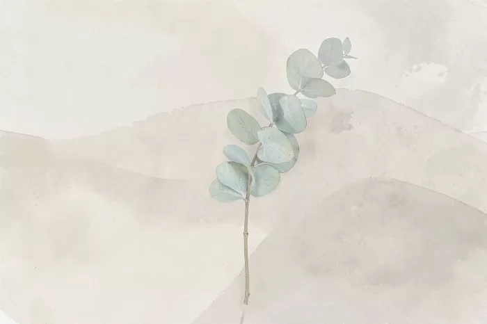 Quiet Eucalyptus