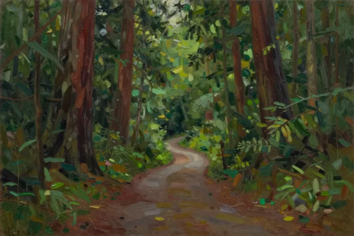 Redwood Path
