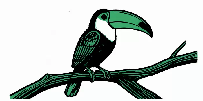 Toucan Cut
