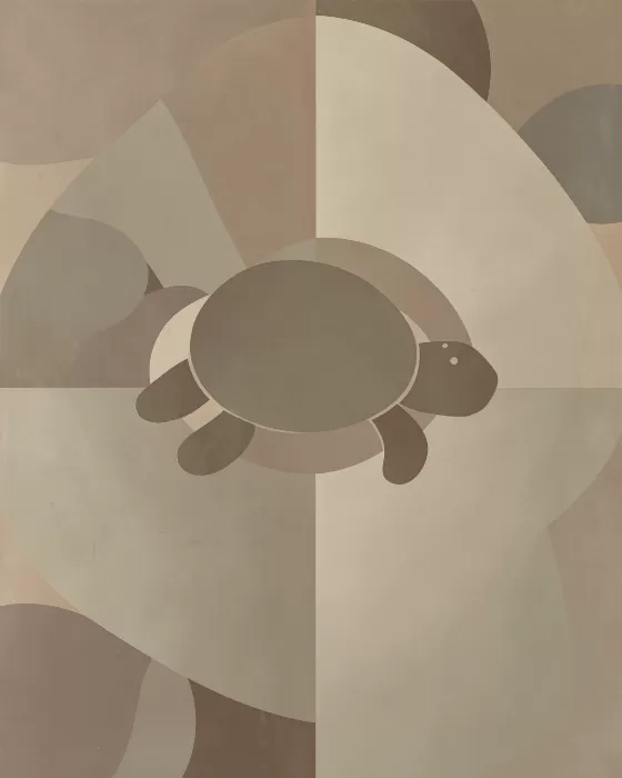 Turtle Arc