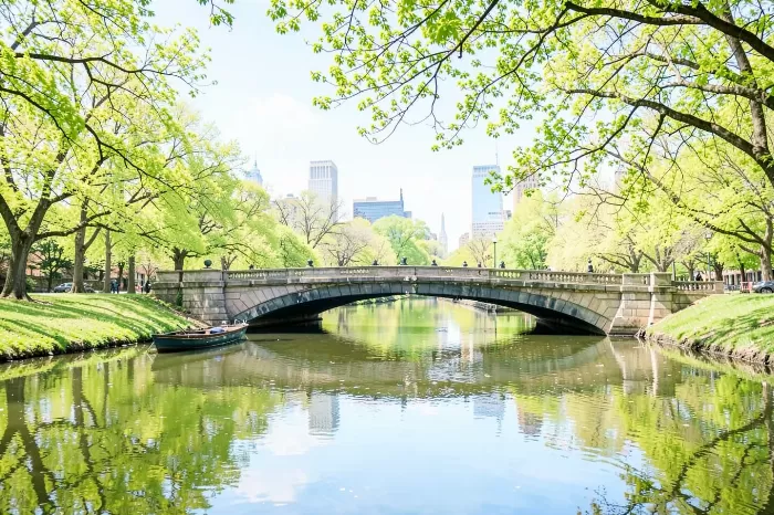 Spring Crossing