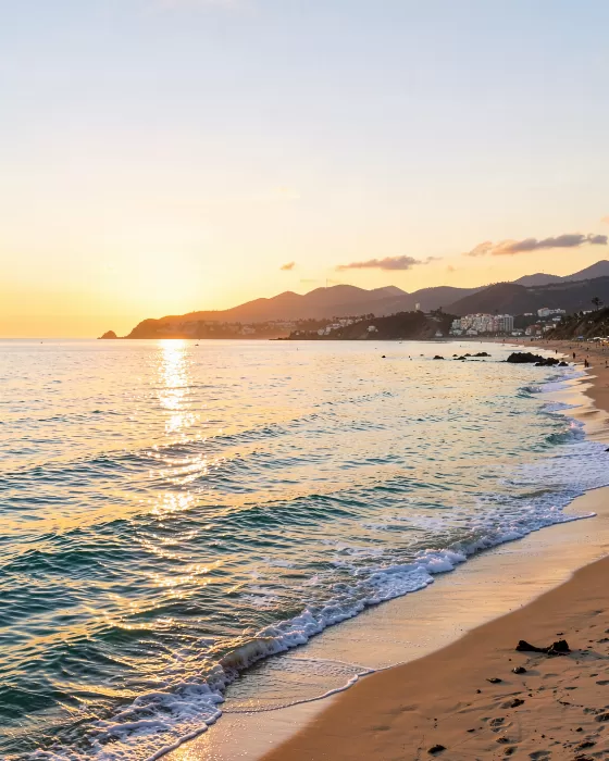 Golden Malibu
