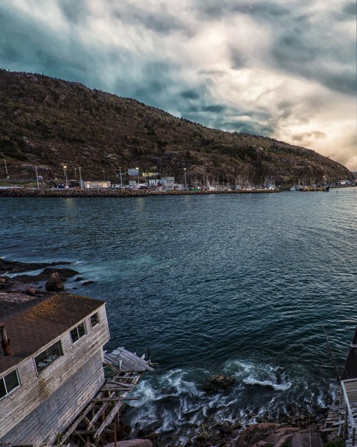 Quaint Village - Newfoundland art print