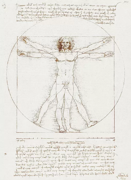 Leonardo da Vincis Vitruvian Man