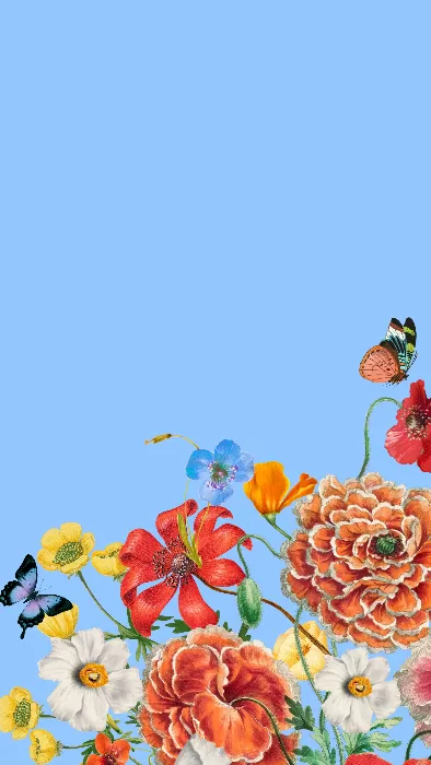 Colorful Summer flowers