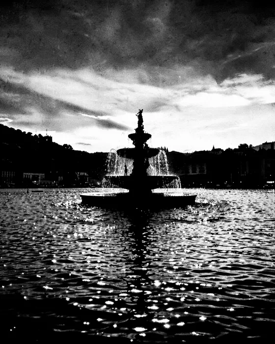 Lakefront Silhouette
