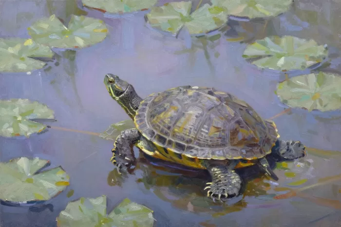 Pond Rest