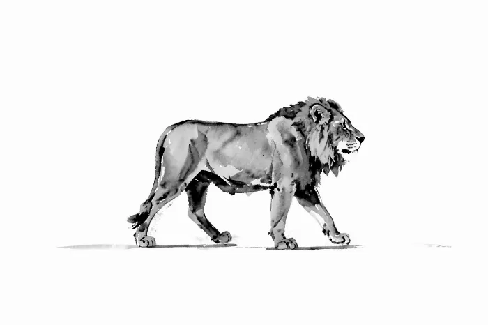 Lone Lion