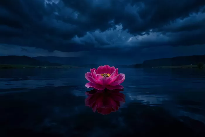 Still Peony