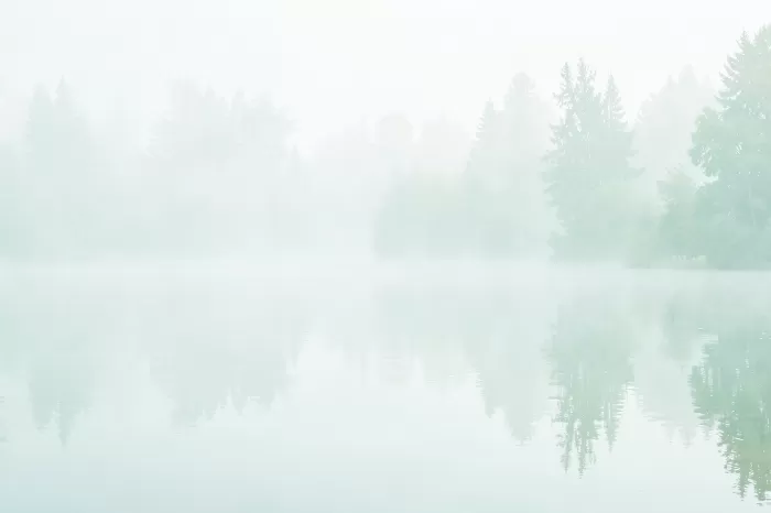 Evergreen Reflections