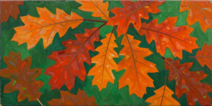 Autumn Foliage