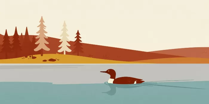 Autumn Loon
