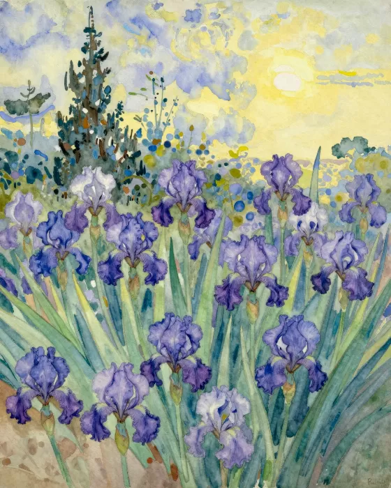 Violet Field