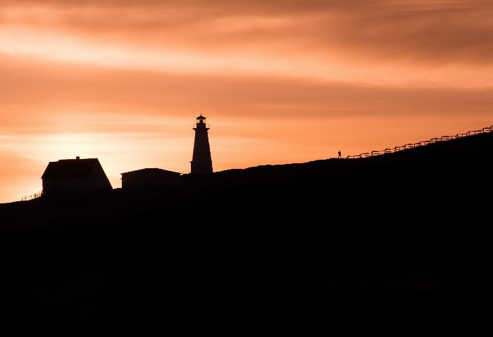 Rise & Shine - Newfoundland art print