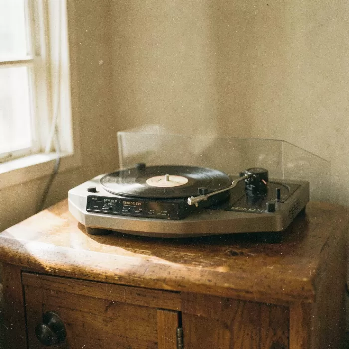 Vinyl Days