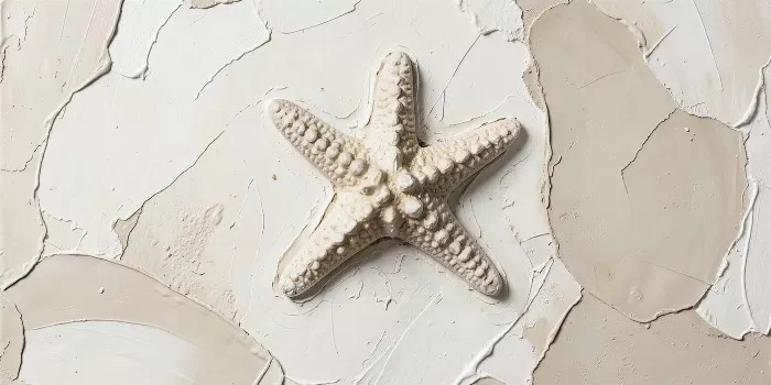 Tidal Impression
