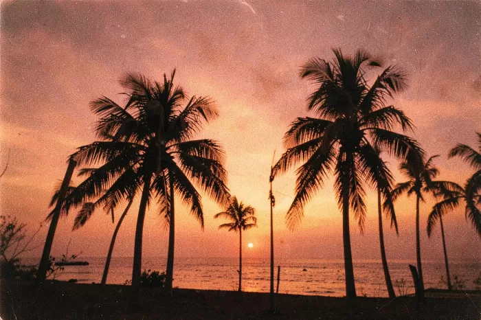 Shore Silhouettes