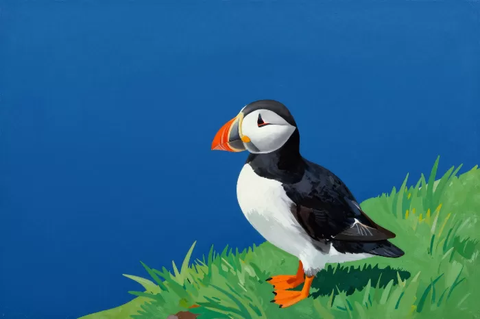 Puffin Edge