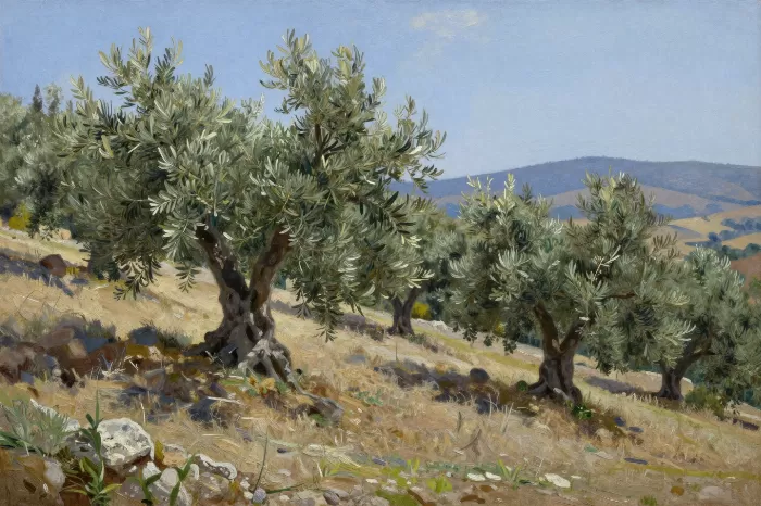 Olive Slope