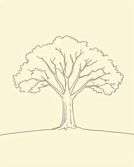 Austin Oak
