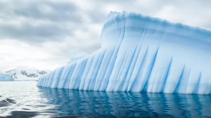 Frozen Majesty Revealed