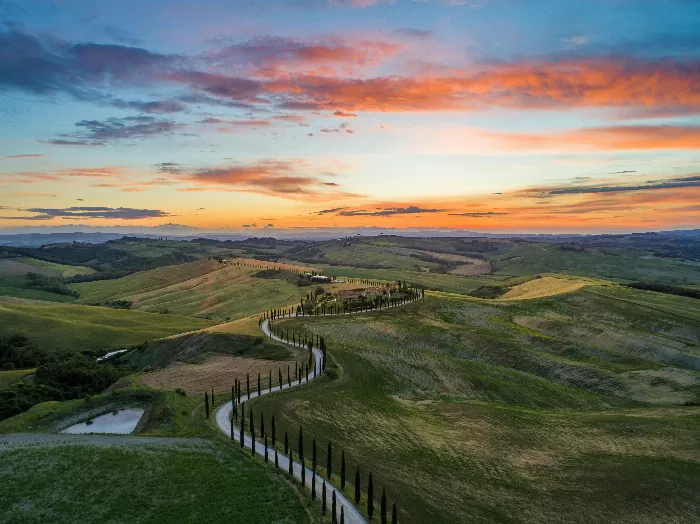 Golden Tuscan Glow